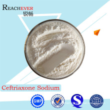99% Purity Pharmaceutical Active Ingredients Ceftriaxone Sodium